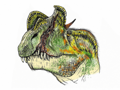 Dilophosaurus © Bruno Hernandez. Verwendet mit freundlicher Genehmigung des Autors.