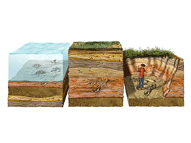 Fossilisation / © Davide Bonadonna Fossilisation / © Davide Bonadonna. Verwendet mit freundlicher Genehmigung des Autors.