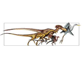 Theropoda Evolution / © Davide Bonadonna Theropoda Evolution / © Davide Bonadonna. Verwendet mit freundlicher Genehmigung des Autors.