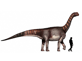 Titanosauriformes / © Davide Bonadonna. Verwendet mit freundlicher Genehmigung des Autors.