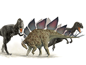 Allosaurus und Stegosaurus / © Jan-Ake Winqvist Allosaurus und Stegosaurus / © Jan-Ake Winqvist. Verwendet mit freundlicher Genehmigung des Autors.