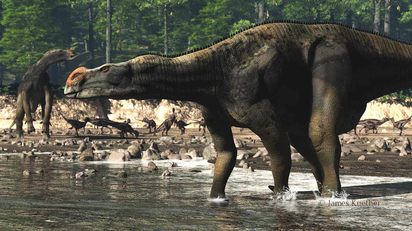 Muttaburrasaurus / © James Kuether / Jameskuether.com