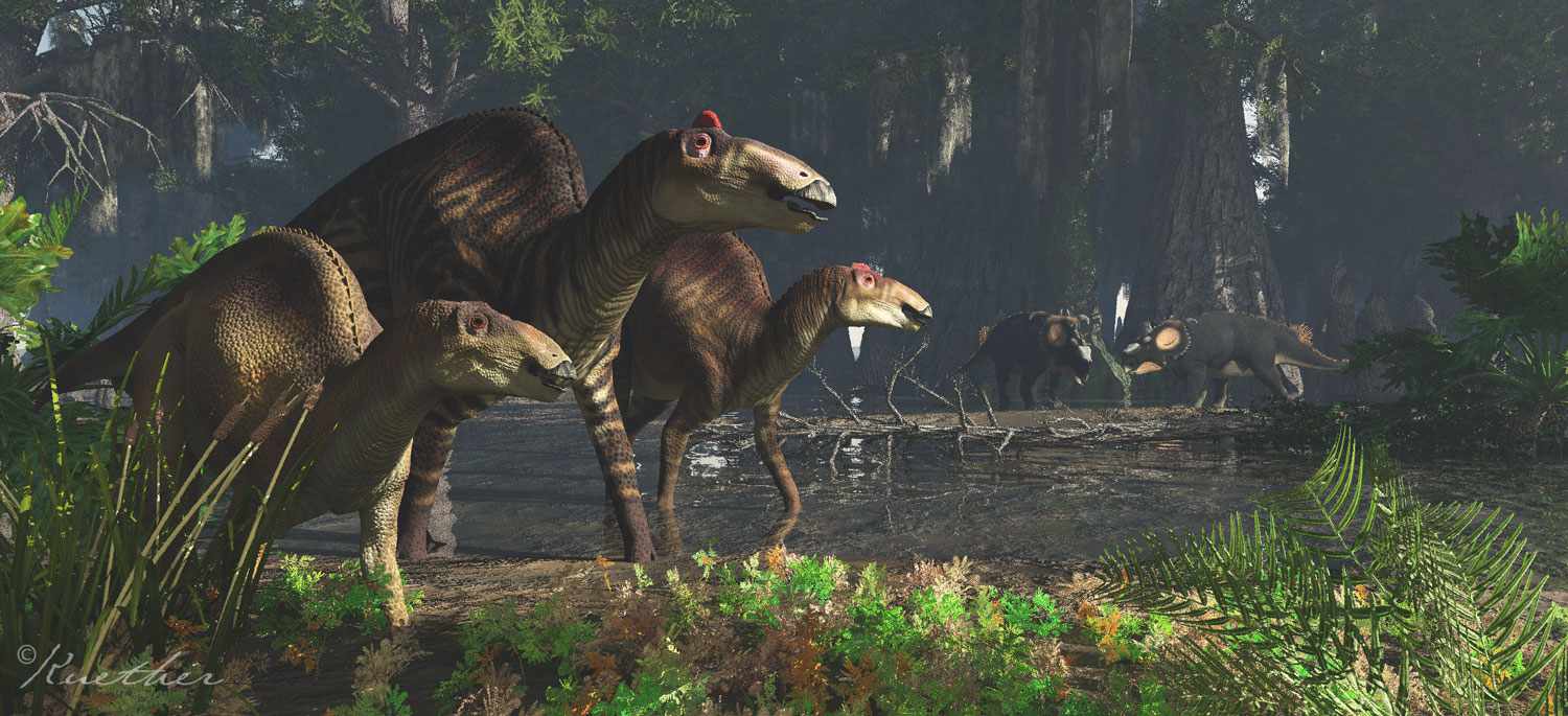 Edmontosaurus / © James Kuether
