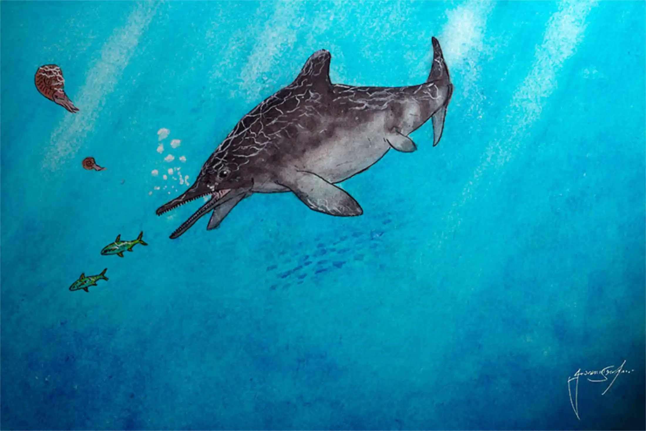 Jabalisaurus tethyensis / © Giovanni Serafini