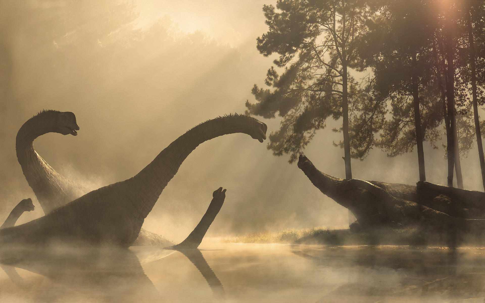Cedarosaurus / © Johnson-Mortimer Cedarosaurus / © Johnson-Mortimer