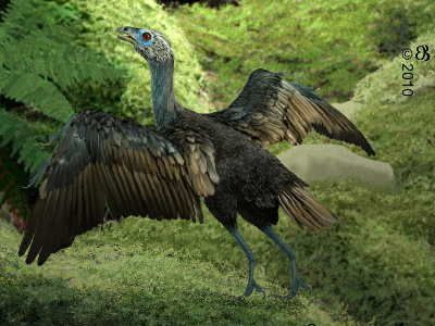 Sapeornis / © Beate Basner. Verwendet mit freundlicher Genehmigung der Autorin.