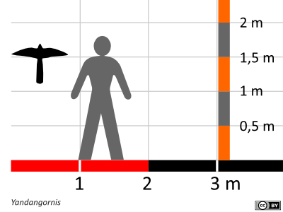 Größenvergleich / Dinodata.de. Creative Commons 4.0 International (CC BY 4.0)