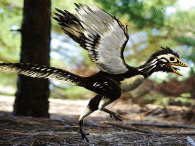 Archaeopteryx / © Alain Beneteau. Verwendet mit freundlicher Genehmigung des Autors. Archaeopteryx / © Alain Beneteau. Verwendet mit freundlicher Genehmigung des Autors.