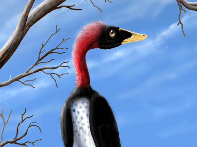 Archaeopteryx / © Ville Sinkkonen Archaeopteryx / © Ville Sinkkonen. Verwendet mit freundlicher Genehmigung des Autors.