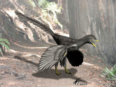 Archaeopteryx / © N. Tamura. Verwendet mit freundlicher Genehmigung des Autors Archaeopteryx / © N. Tamura. Verwendet mit freundlicher Genehmigung des Autors