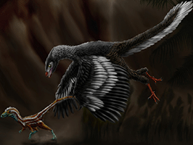 Archaeopteryx / © Josep Asensi. Verwendet mit freundlicher Genehmigung des Autors.