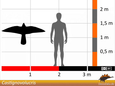 Größenvergleich / Dinodata.de. Creative Commons 4.0 International (CC BY 4.0) Größenvergleich / Dinodata.de. Creative Commons 4.0 International (CC BY 4.0)