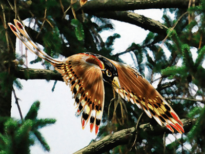 Confuciusornis / © Alain Beneteau. Verwendet mit freundlicher Genehmigung des Autors. Confuciusornis / © Alain Beneteau. Verwendet mit freundlicher Genehmigung des Autors.