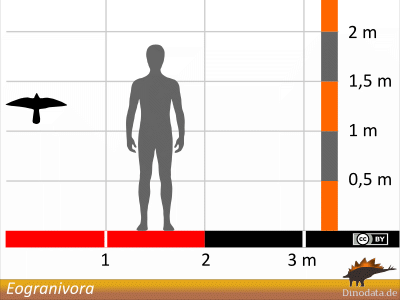 Größenvergleich / Dinodata.de. Creative Commons 4.0 International (CC BY 4.0) Größenvergleich / Dinodata.de. Creative Commons 4.0 International (CC BY 4.0)