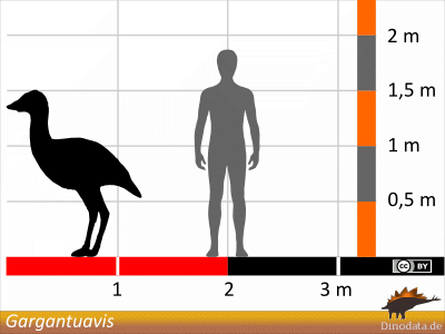 Größenvergleich / Dinodata.de. Creative Commons 4.0 International (CC BY 4.0)