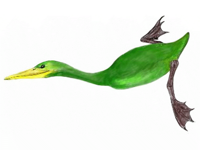 Hesperornis / © Mineo Shiraishi. Verwendet mit freundlicher Genehmigung des Autors Hesperornis / © Mineo Shiraishi. Verwendet mit freundlicher Genehmigung des Autors
