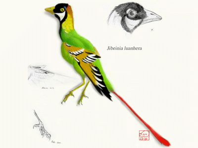 Jibeinia / © Daniel Bensen. Verwendet mit freundlicher Genehmigung des Autors Jibeinia / © Daniel Bensen. Verwendet mit freundlicher Genehmigung des Autors