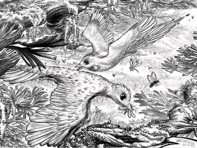 Liaoxiornis / © Luc J. Bailly Liaoxiornis / © Luc J. Bailly. Verwendet mit freundlicher Genehmigung des Autors.