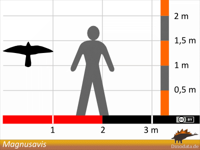 Größenvergleich / Dinodata.de. Creative Commons 4.0 International (CC BY 4.0) Größenvergleich / Dinodata.de. Creative Commons 4.0 International (CC BY 4.0)