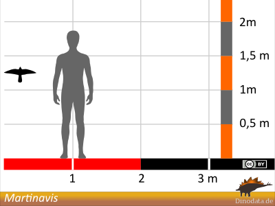 Größenvergleich / © Dinodata.de. Creative Commons 4.0 International (CC BY 4.0)