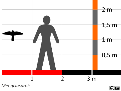 Größenvergleich / Dinodata.de. Creative Commons 4.0 International (CC BY 4.0) Größenvergleich / Dinodata.de. Creative Commons 4.0 International (CC BY 4.0)