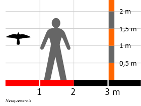 Größenvergleich / Dinodata.de. Creative Commons 4.0 International (CC BY 4.0) Größenvergleich / Dinodata.de. Creative Commons 4.0 International (CC BY 4.0)