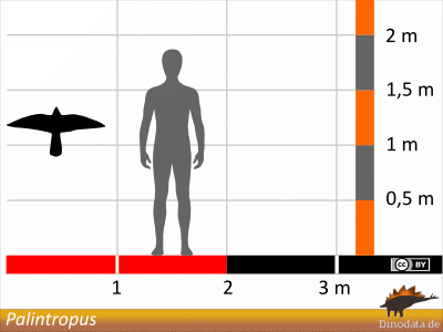 Größenvergleich / © Dinodata.de