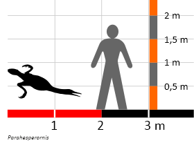 Größenvergleich / Dinodata.de. Creative Commons 4.0 International (CC BY 4.0) Größenvergleich / Dinodata.de. Creative Commons 4.0 International (CC BY 4.0)