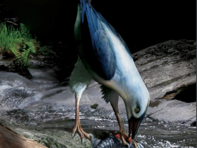 Pengornis / © Miller et al.