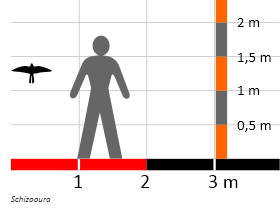 Größenvergleich / Dinodata.de. Creative Commons 4.0 International (CC BY 4.0) Größenvergleich / Dinodata.de. Creative Commons 4.0 International (CC BY 4.0)