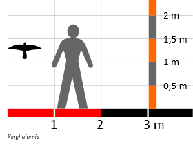 Größenvergleich / Dinodata.de. Creative Commons 4.0 International (CC BY 4.0) Größenvergleich / Dinodata.de. Creative Commons 4.0 International (CC BY 4.0)