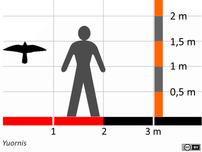 Größenvergleich / Dinodata.de. Creative Commons 4.0 International (CC BY 4.0)