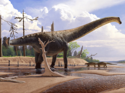 Abdarainurus / © Andrey Atuchin. Verwendet mit freundlicher Genehmigung des Autors