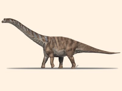 Abditosaurus © Oscar Sanisidro, Museu de la Conca Dellà. Creative Commons NonCommercial International 4.0 (CC BY-NC 4.0) Abditosaurus © Oscar Sanisidro, Museu de la Conca Dellà. Creative Commons NonCommercial International 4.0 (CC BY-NC 4.0)
