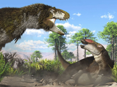 Lythronax und Acristavus  / © James Kuether. Verwendet mit freundlicher Genehmigung des Autors.