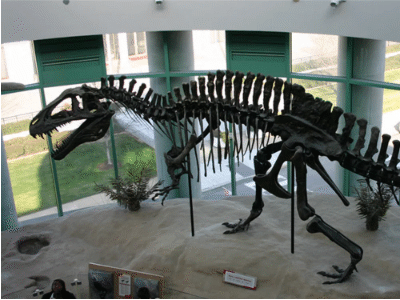 Skelett des Acrocanthosaurus / © Ryan Somma. Creative Commons 2.0 Generic (CC BY-SA 2.0)