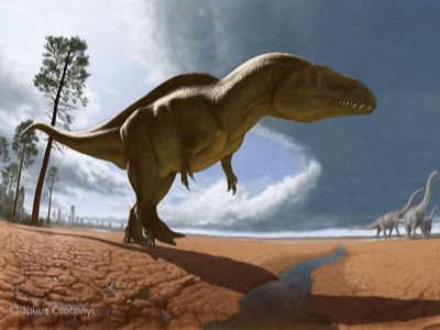 Acrocanthosaurus / © Julius Csotonyi (csotonyi.com). Verwendet mit freundlicher Genehmigung des Autors Acrocanthosaurus / © Julius Csotonyi (csotonyi.com). Verwendet mit freundlicher Genehmigung des Autors
