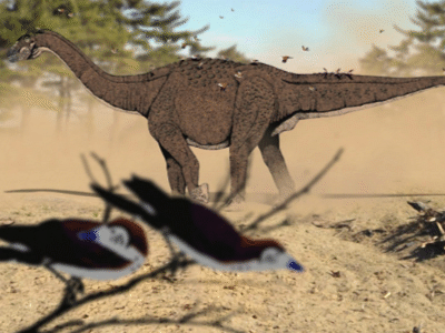 Adamantisaurus / © Felipe Alves Elias Adamantisaurus / © Felipe Alves Elias. Verwendet mit freundlicher Genehmigung des Autors.