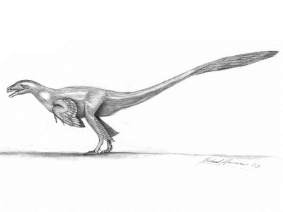 Adasaurus / © Michael Hanson. Verwendet mit freundlicher Genehmigung des Autors.