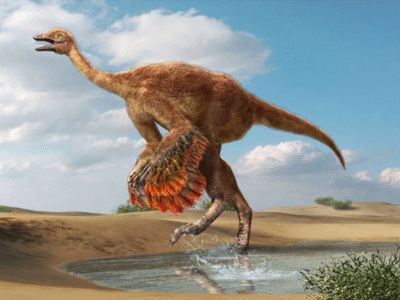 Aepyornithomimus / Masato Hattori. Creative Commons 4.0 International (CC BY 4.0) Aepyornithomimus / Masato Hattori. Creative Commons 4.0 International (CC BY 4.0)