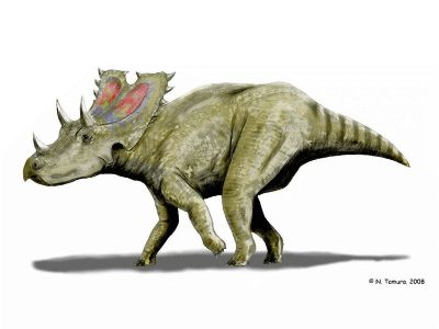 Agujaceratops / © N. Tamura. Verwendet mit freundlicher Genehmigung des Autors. Agujaceratops / © N. Tamura. Verwendet mit freundlicher Genehmigung des Autors.