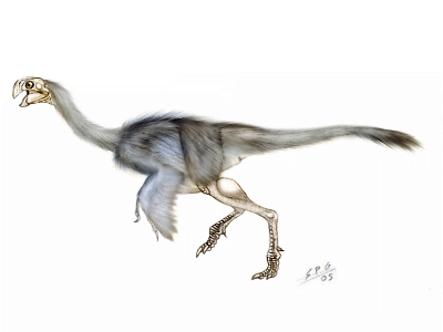 Ajancingenia / © Sergio Perez. Verwendet mit freundlicher Genehmigung des Autors. Ajancingenia / © Sergio Perez. Verwendet mit freundlicher Genehmigung des Autors.
