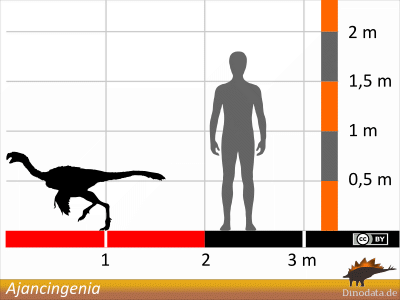 Größenvergleich / Dinodata.de. Creative Commons 4.0 International (CC BY 4.0) Größenvergleich © Dinodata.de. Creative Commons 4.0 International (CC BY 4.0)