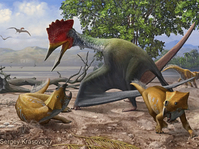 Bakonydraco und Ajkaceratops / © Sergej Krasovskiy. Verwendet mit freundlicher Genehmigung des Autors.