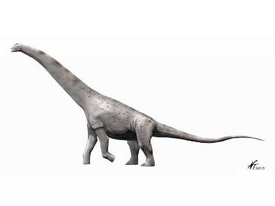 Alamosaurus / © N. Tamura. Verwendet mit freundlicher Genehmigung des Autors. Alamosaurus / © N. Tamura. Verwendet mit freundlicher Genehmigung des Autors.