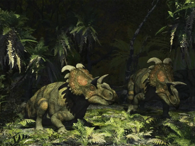 Albertaceratops / © Raul Lunia. Verwendet mit freundlicher Genehmigung des Autors. Albertaceratops / © Raul Lunia. Verwendet mit freundlicher Genehmigung des Autors.