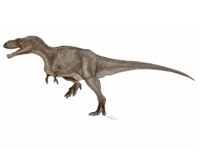 Alectrosaurus / © Mineo Shiraishi Alectrosaurus / © Mineo Shiraishi. Verwendet mit freundlicher Genehmigung des Autors.