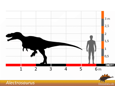 Größenvergleich / Dinodata.de. Creative Commons 4.0 International (CC BY 4.0) Größenvergleich © Dinodata.de. Creative Commons 4.0 International (CC BY 4.0)