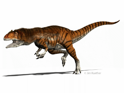 Allosaurus / © James Kuether. Verwendet mit freundlicher Genehmigung des Autors. Allosaurus / © James Kuether. Verwendet mit freundlicher Genehmigung des Autors.