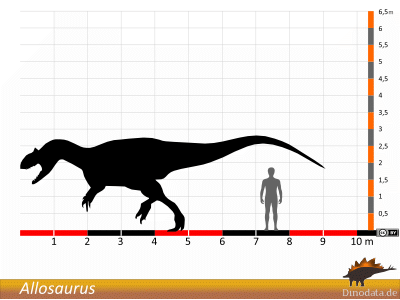 Größenvergleich / Dinodata.de. Creative Commons 4.0 International (CC BY 4.0) Größenvergleich © Dinodata.de. Creative Commons 4.0 International (CC BY 4.0)